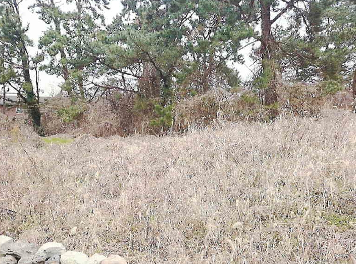 제주특별자치도 제주시 애월읍 고성리 875-3 외 8필지 단독주택 경매 사진 6