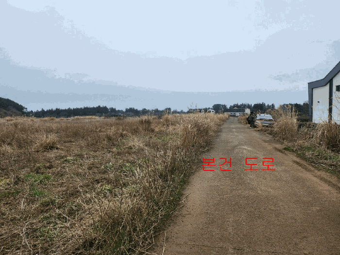 제주특별자치도 제주시 조천읍 교래리 409-2 임야 경매 사진 5
