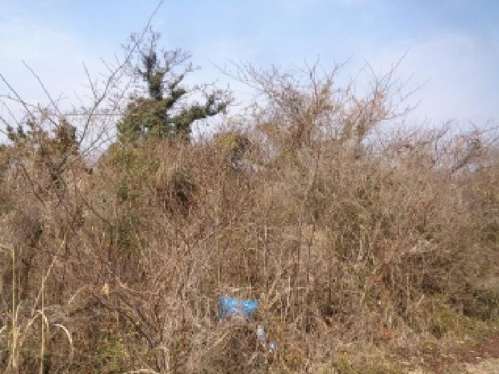 제주특별자치도 서귀포시 대정읍 무릉리 산65-23 임야 경매 사진 16