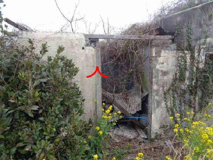 제주특별자치도 서귀포시 상예동 2755-1 외 26필지 임야 경매 사진 11