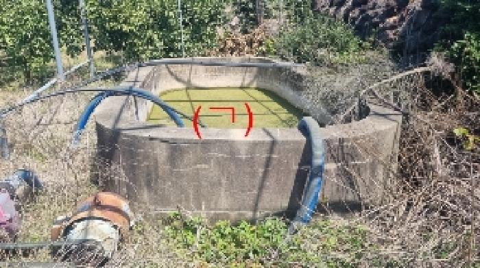 제주특별자치도 서귀포시 표선면 토산리 264-3 외 2필지 과수원 경매 사진 9