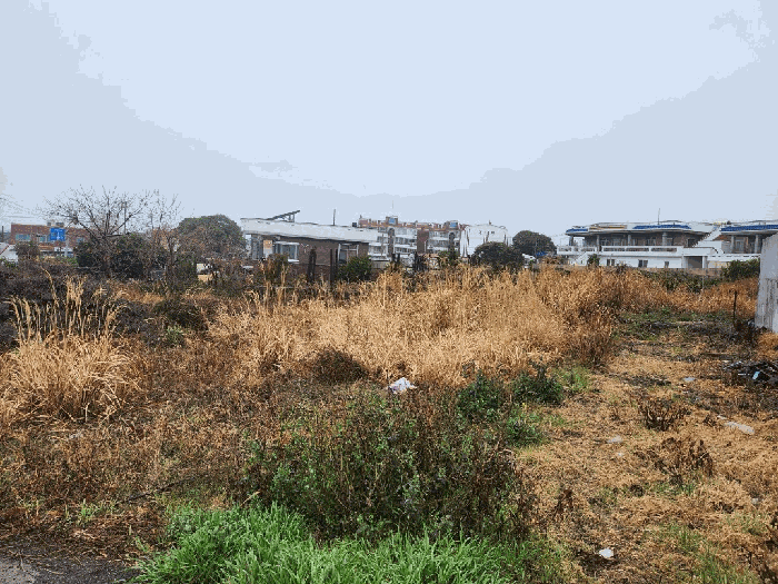제주특별자치도 서귀포시 남원읍 위미리 1906-1 외 2필지 전 경매 사진 10