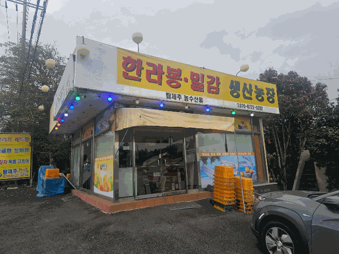 제주특별자치도 서귀포시 서호동 15-1 외 3필지 근린생활시설 경매 사진 31