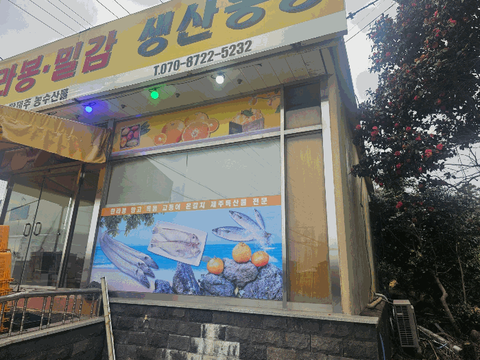 제주특별자치도 서귀포시 서호동 15-1 외 3필지 근린생활시설 경매 사진 52
