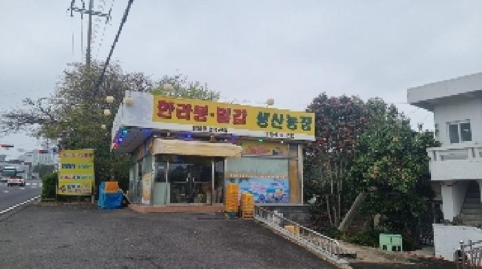 제주특별자치도 서귀포시 서호동 15-1 외 3필지 근린생활시설 경매 사진 9