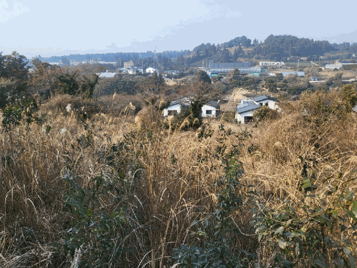 제주특별자치도 서귀포시 안덕면 감산리 7 외 1필지 전 경매 사진 6