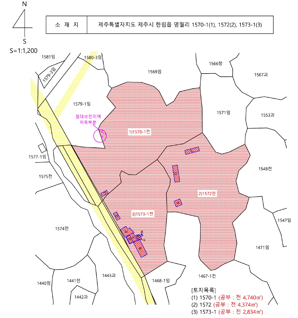 제주특별자치도 제주시 한림읍 명월리 1572 외 1필지 전 경매 사진 33