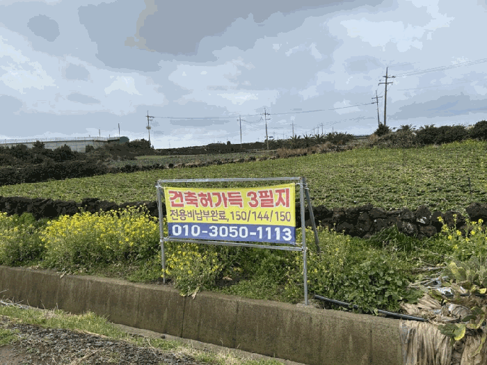 제주특별자치도 서귀포시 대정읍 무릉리 4034 외 2필지 전 경매 사진 10