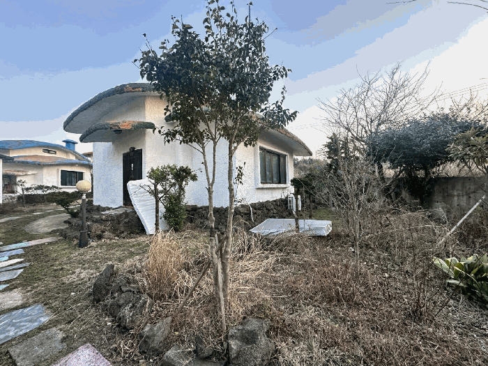 제주특별자치도 제주시 조천읍 선흘리 1925-2 선흘황토마을다세대주택 제나동 1층107호 펜션(캠핑장) 경매 사진 21