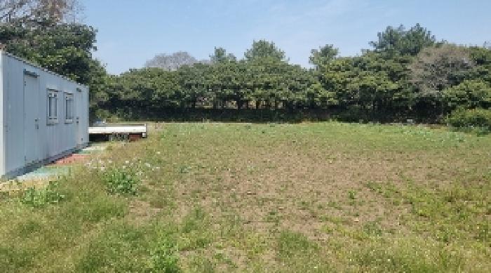 제주특별자치도 서귀포시 성산읍 삼달리 991-1 외 2필지 전 경매 사진 11