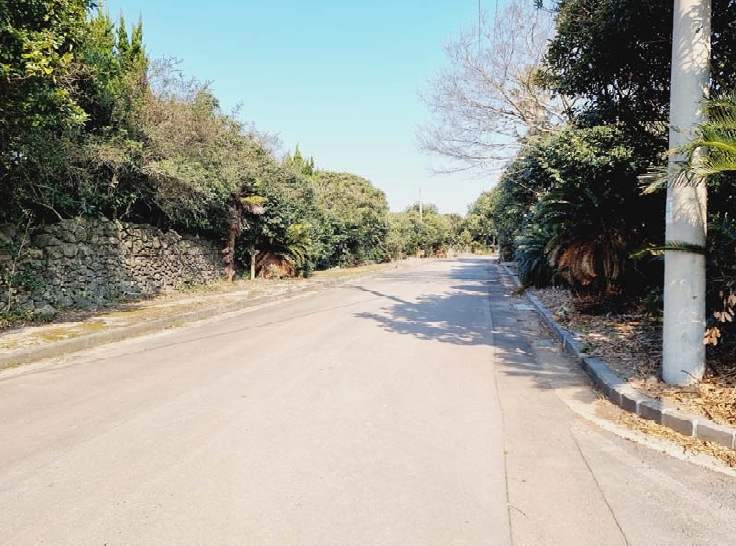 제주특별자치도 서귀포시 성산읍 삼달리 991-1 외 2필지 전 경매 사진 7