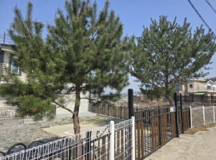 충청북도 청주시 상당구 남일면 고은리 449-4 외 8필지 단독주택 경매 사진 10