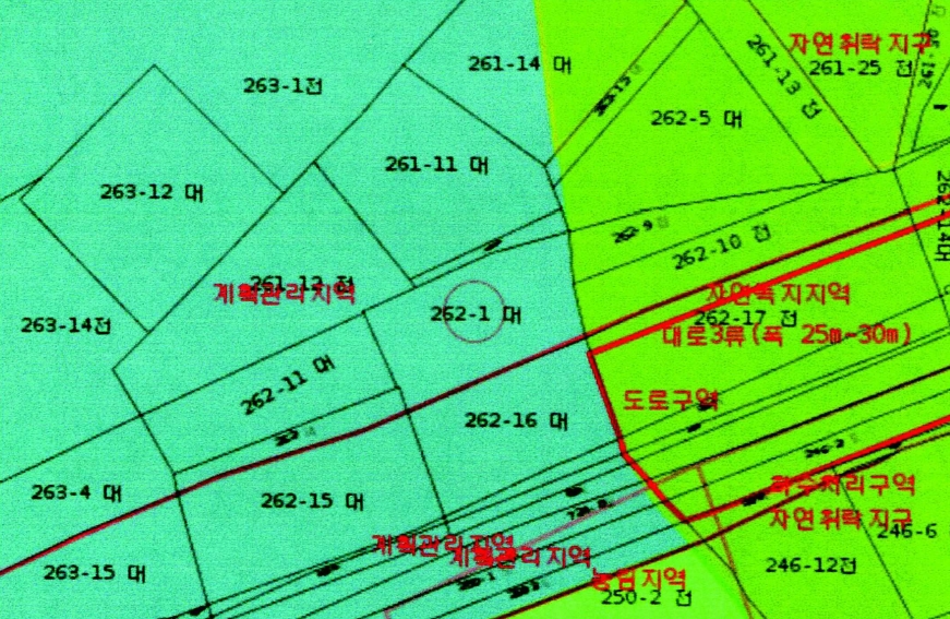 충청남도 부여군 규암면 반산리 262 외 5필지 근린생활시설 경매 사진 37
