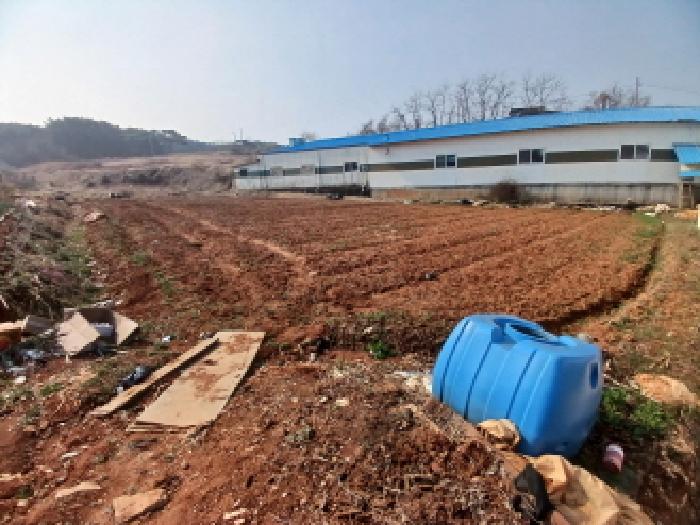 충청남도 당진시 석문면 삼봉리 548 외 1필지 전 경매 사진 2