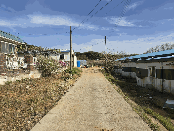 충청남도 당진시 석문면 삼봉리 548 외 1필지 전 경매 사진 11