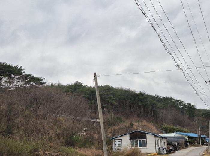 경상북도 영덕군 축산면 부곡리 산74 임야 경매 사진 6