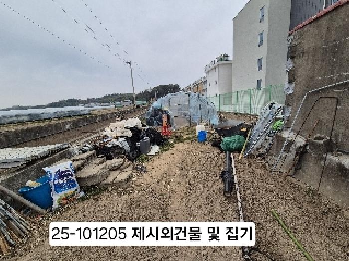 부산광역시 강서구 봉림동 211-1 답 경매 사진 14