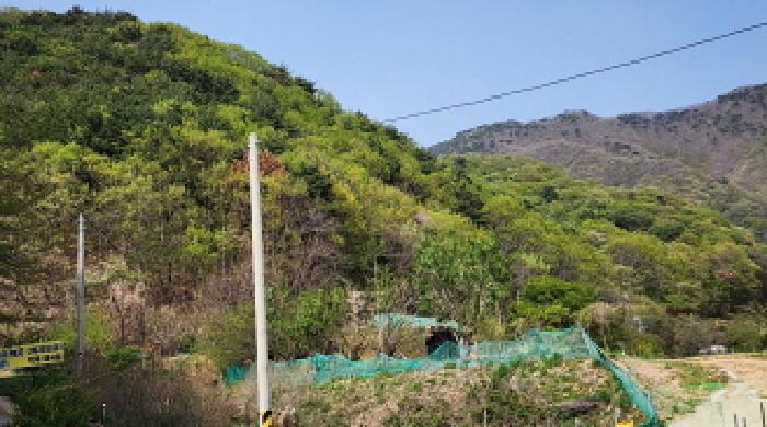 경상남도 양산시 매곡동 산24-1 외 1필지 임야 경매 사진 1