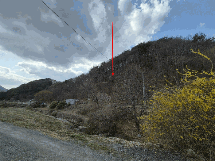 경상남도 양산시 매곡동 산24-1 외 1필지 임야 경매 사진 12