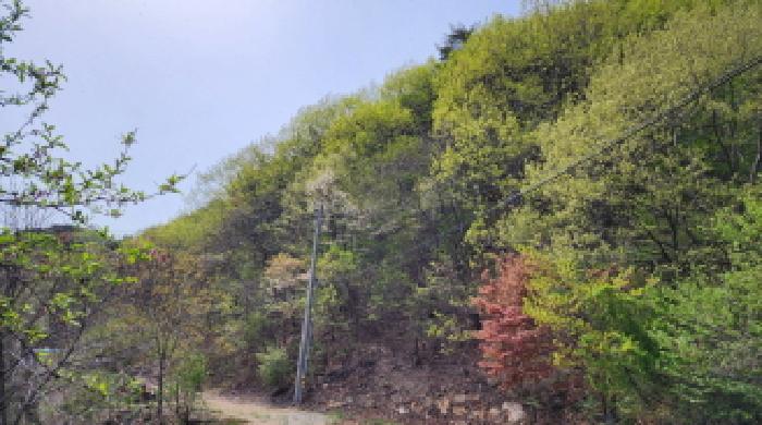경상남도 양산시 매곡동 산24-1 외 1필지 임야 경매 사진 4