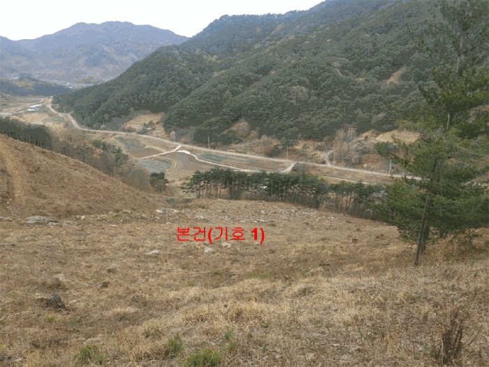 경상남도 함양군 안의면 황곡리 산28-2 임야 경매 사진 14