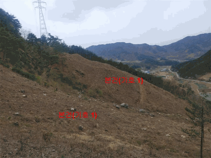 경상남도 함양군 안의면 황곡리 산28-2 임야 경매 사진 15