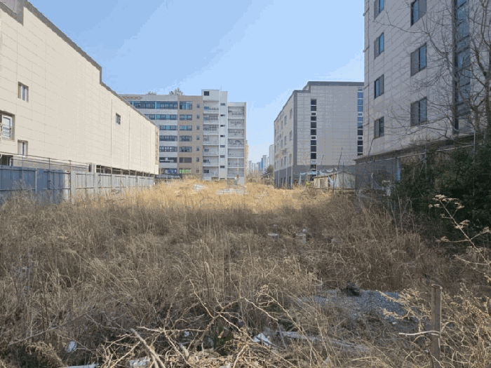 전라남도 목포시 옥암동 1237-6 대지 경매 사진 4