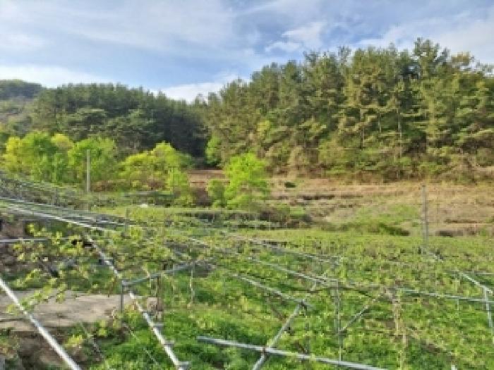 전남 광양시 전
