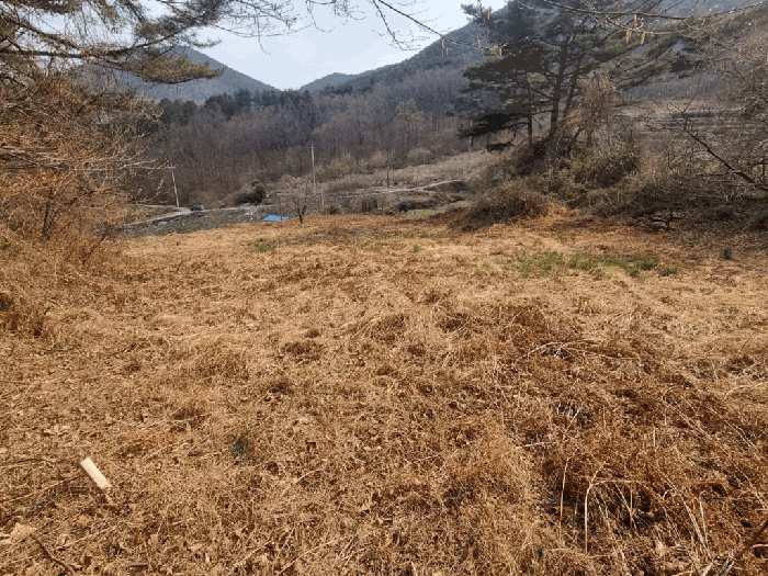 전라남도 광양시 옥룡면 추산리 1454 외 1필지 전 경매 사진 11