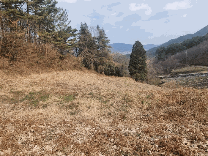 전라남도 광양시 옥룡면 추산리 1454 외 1필지 전 경매 사진 13