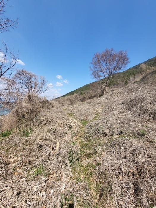 경상남도 남해군 남면 선구리 산105-1 임야 경매 사진 16