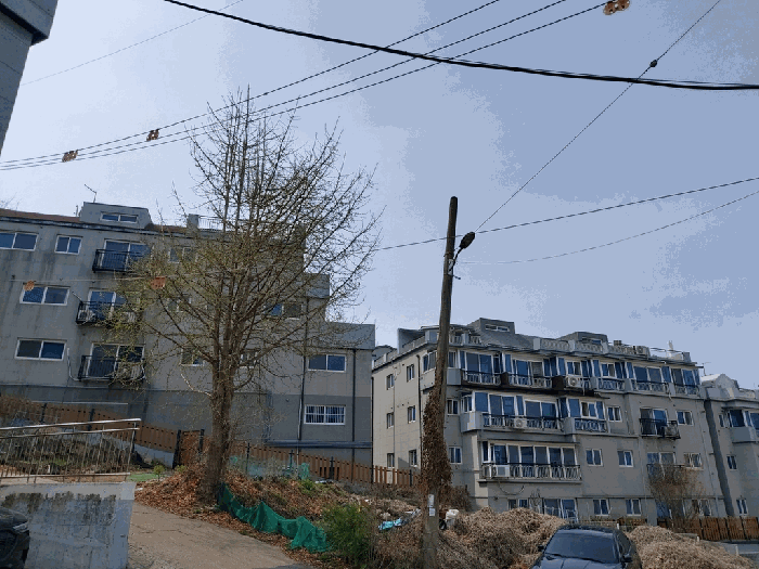 경기도 김포시 사우동 1267 1층101호 근린상가 경매 사진 18