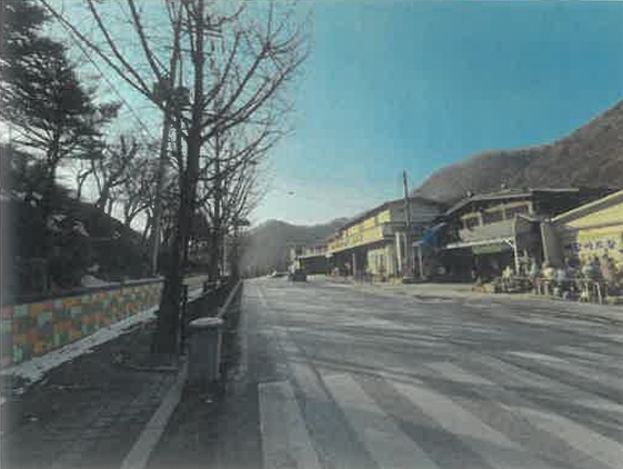 강원특별자치도 정선군 사북읍 사북리 284-57 외 2필지 상가주택 경매 사진 16