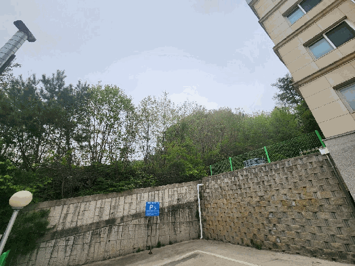 강원특별자치도 평창군 봉평면 면온리 산189 외 1필지 임야 경매 사진 2