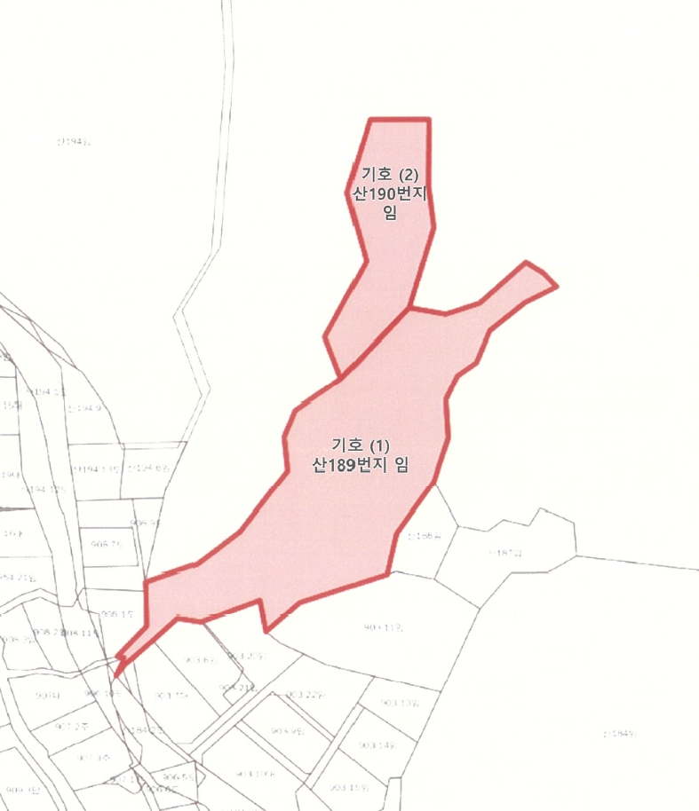 강원특별자치도 평창군 봉평면 면온리 산189 외 1필지 임야 경매 사진 6