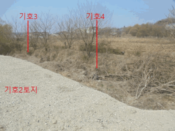 충청북도 음성군 대소면 수태리 402-1 외 3필지 답 경매 사진 4