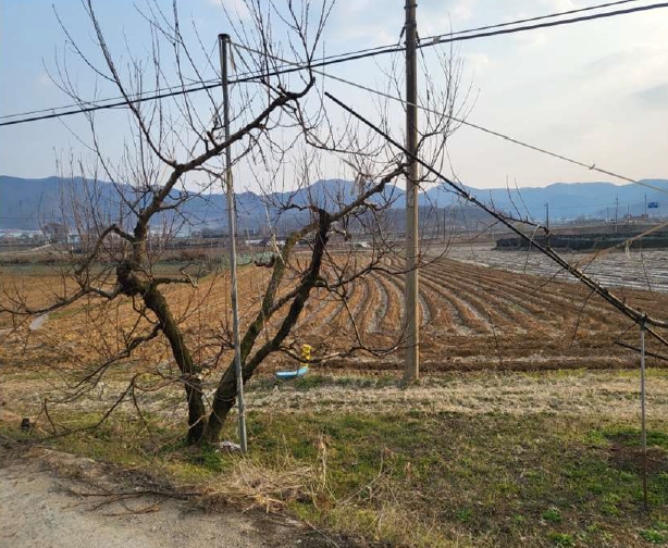 충청북도 음성군 소이면 후미리 116 전 경매 사진 3