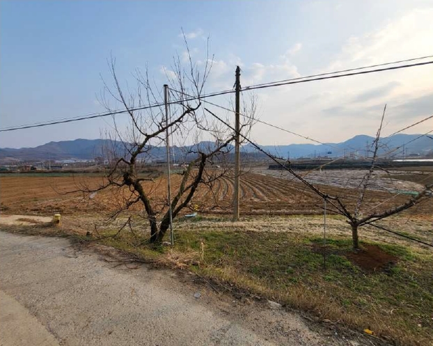 충청북도 음성군 소이면 후미리 116 전 경매 사진 4