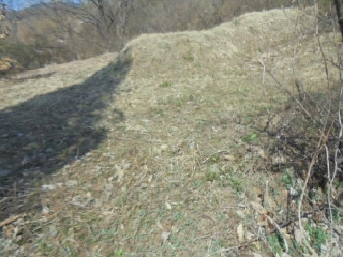 충청북도 충주시 소태면 오량리 54 전 경매 사진 15