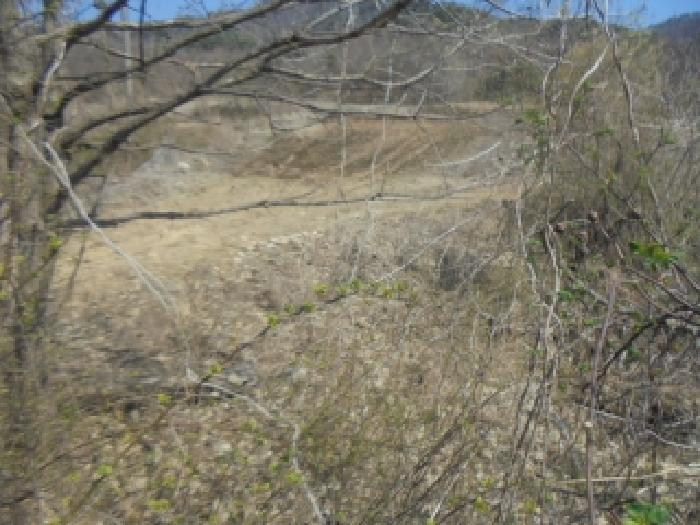 충청북도 충주시 소태면 오량리 54 전 경매 사진 16