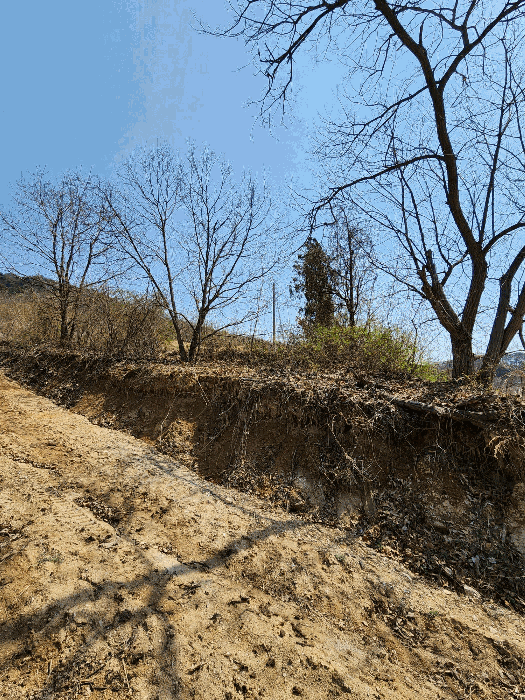 충청북도 충주시 소태면 오량리 54 전 경매 사진 19