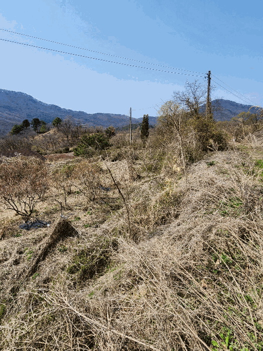 충청북도 충주시 소태면 오량리 54 전 경매 사진 20