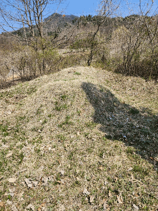 충청북도 충주시 소태면 오량리 54 전 경매 사진 22