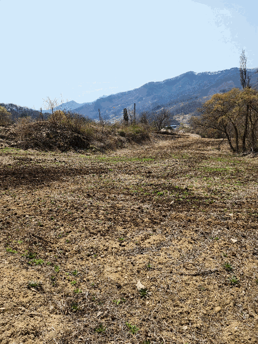 충청북도 충주시 소태면 오량리 54 전 경매 사진 23