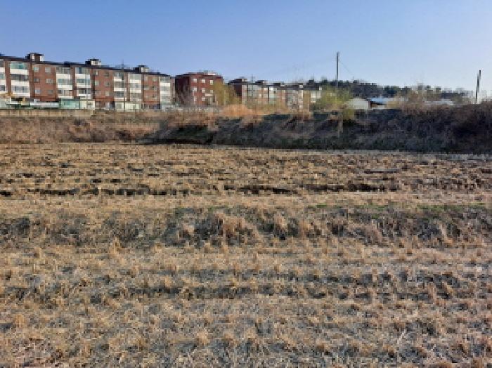 충청남도 당진시 신평면 도성리 206-2 외 2필지 답 경매 사진 1