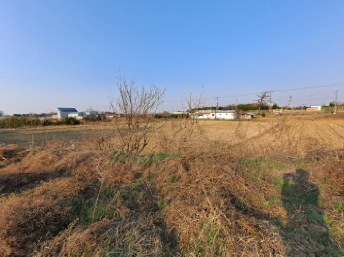 충청남도 당진시 신평면 도성리 206-2 외 2필지 답 경매 사진 7