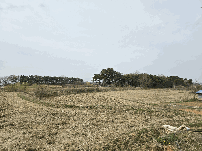 충청남도 당진시 신평면 도성리 206-2 외 2필지 답 경매 사진 9