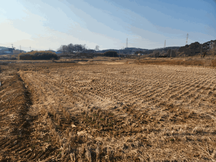 충청남도 당진시 송악읍 부곡리 279 외 2필지 답 경매 사진 13