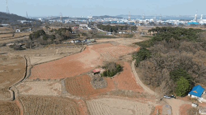 충청남도 당진시 송악읍 부곡리 279 외 2필지 답 경매 사진 18