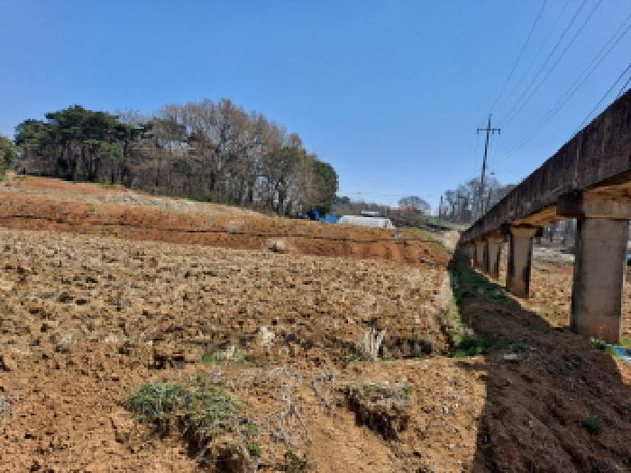 충청남도 당진시 송악읍 부곡리 279 외 2필지 답 경매 사진 7